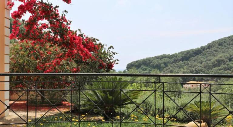 Serviced apartment with terrace & yard | Pets are welcome — photo 4