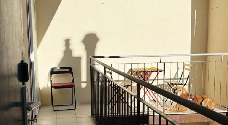 Console Camprini Estates - Faenza apartments 1 — photo 4