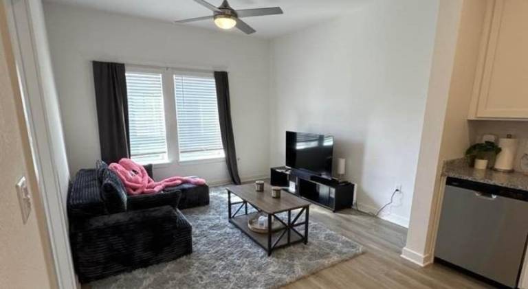 Modern 1BR Minutes to Mayo Clinic and Beach — photo 2