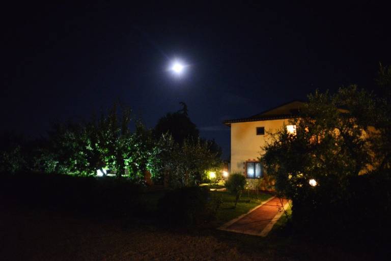 foto41
