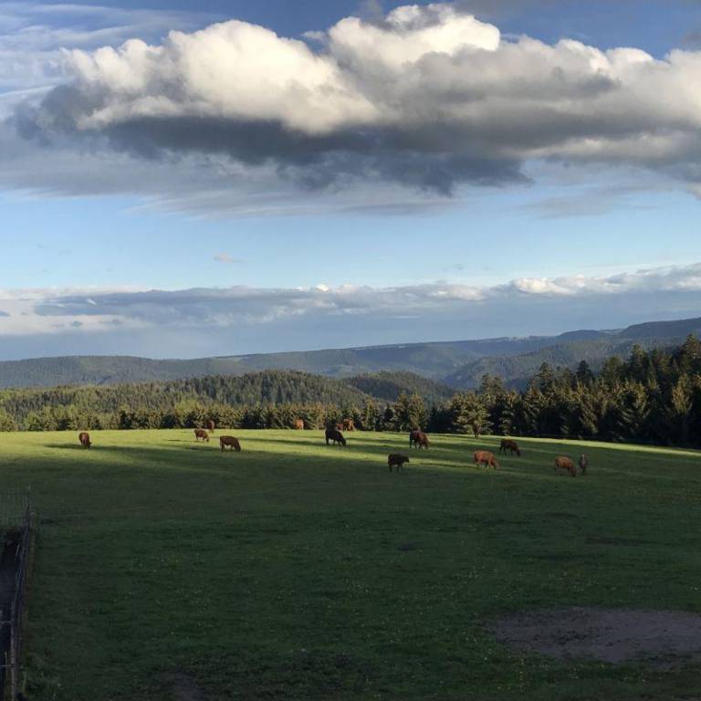 foto14