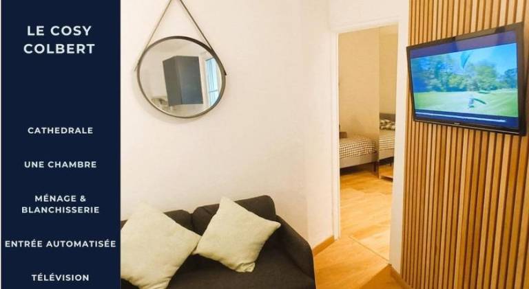 Rental apartment with terrace | Pets are welcome in Tours
