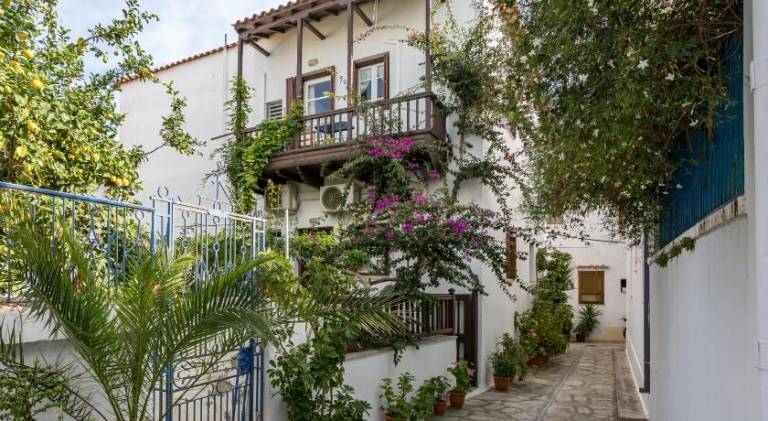 Wonderful holiday apartment with patio & yard | Suitable for remote work | Dogs allowed in Skopelos