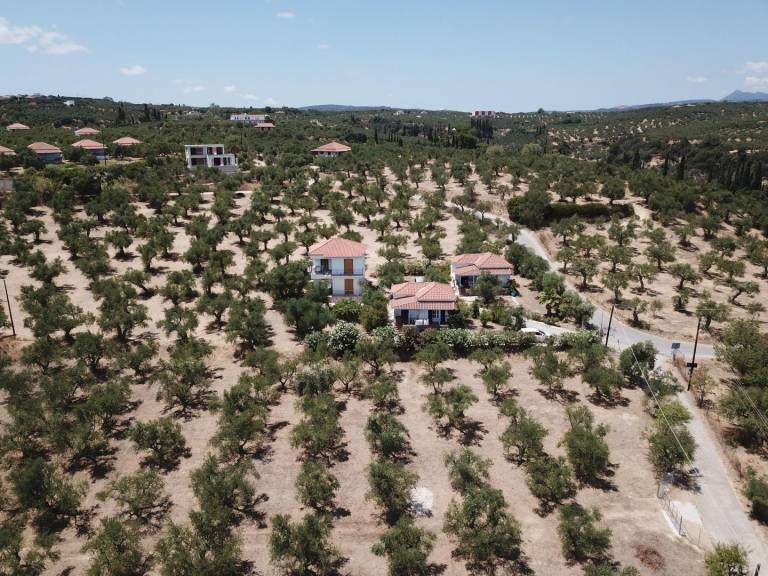 foto14