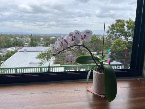 House  Springwood