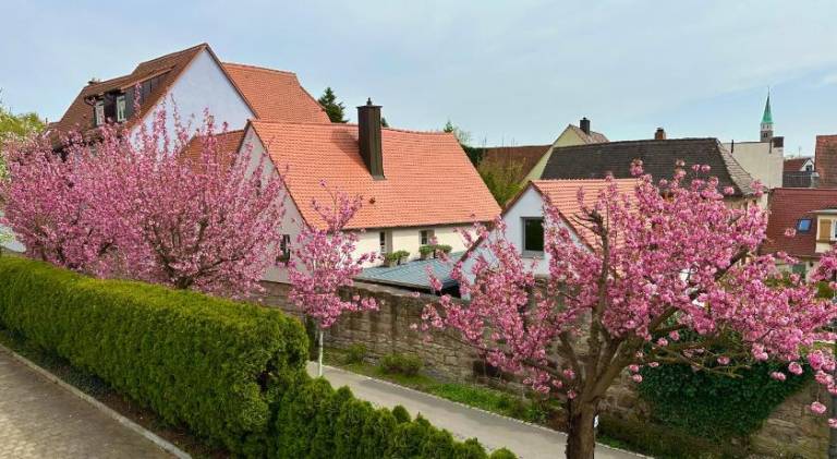 Apartment | Perfect for remote work in Herzogenaurach