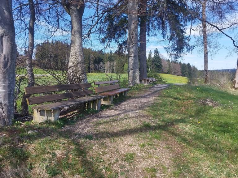 foto40