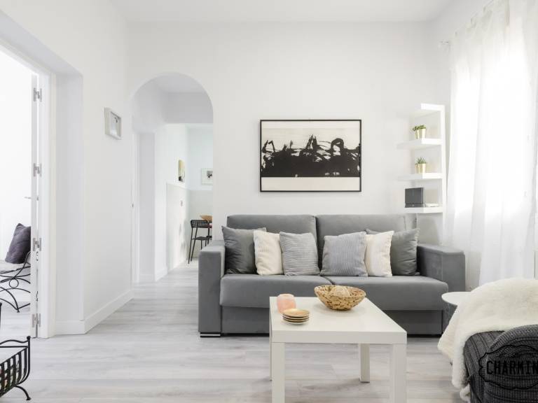 Appartement Embajadores