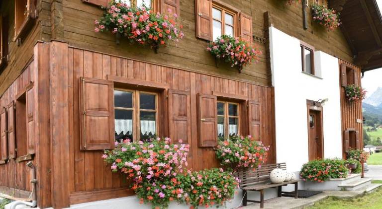 Holiday apartment with terrace & yard | Pets are welcome — photo 5