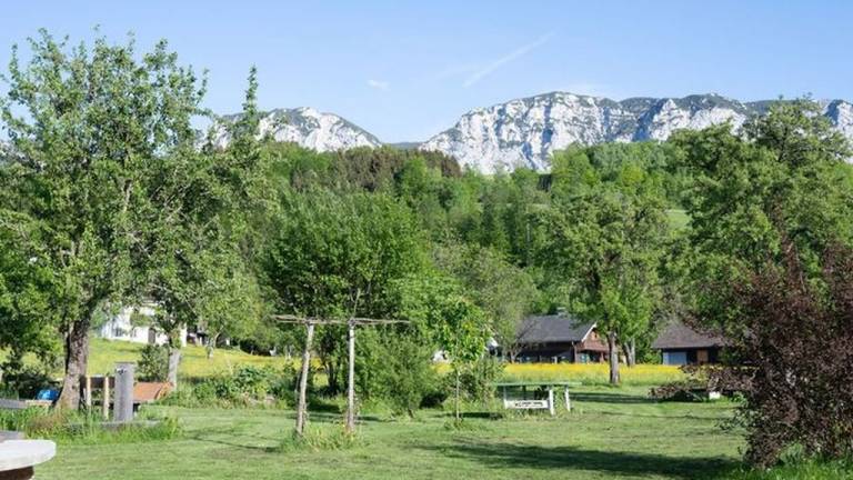 Ferienwohnung Steinbach am Attersee