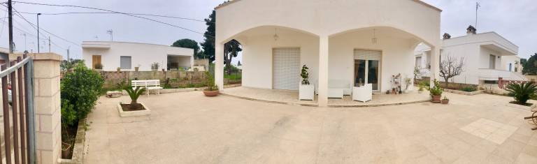 foto11