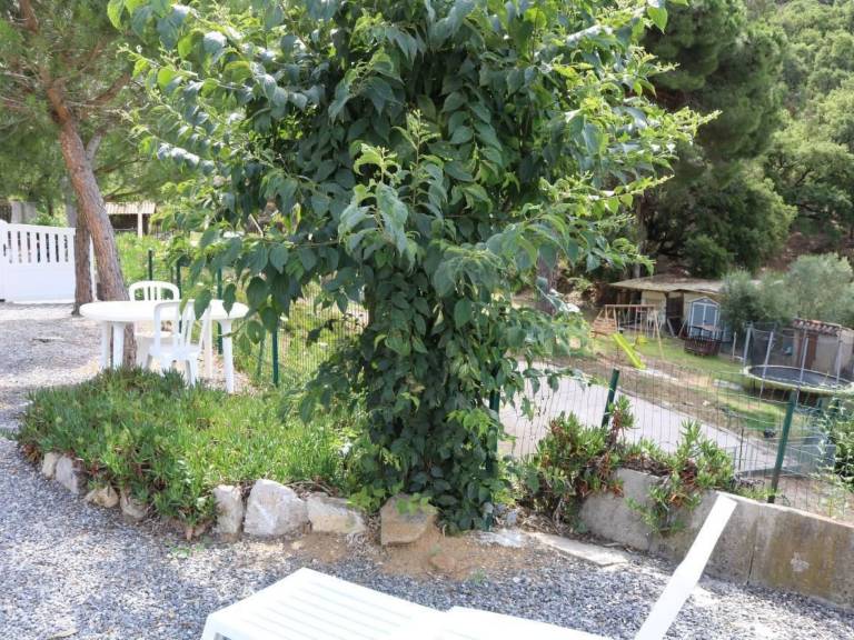 House with pool, terrace & grill | Nature view | Dogs allowed — photo 5