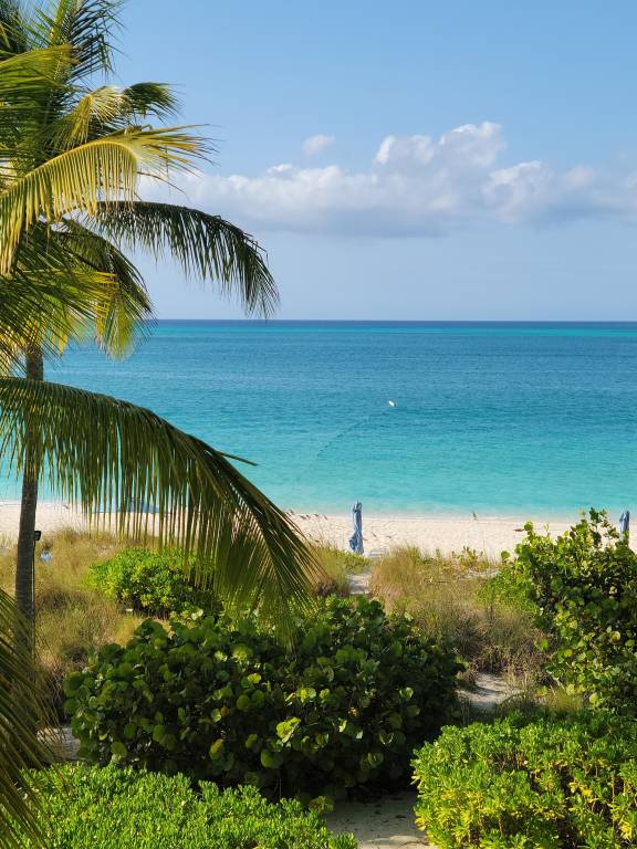 Condo Grace Bay