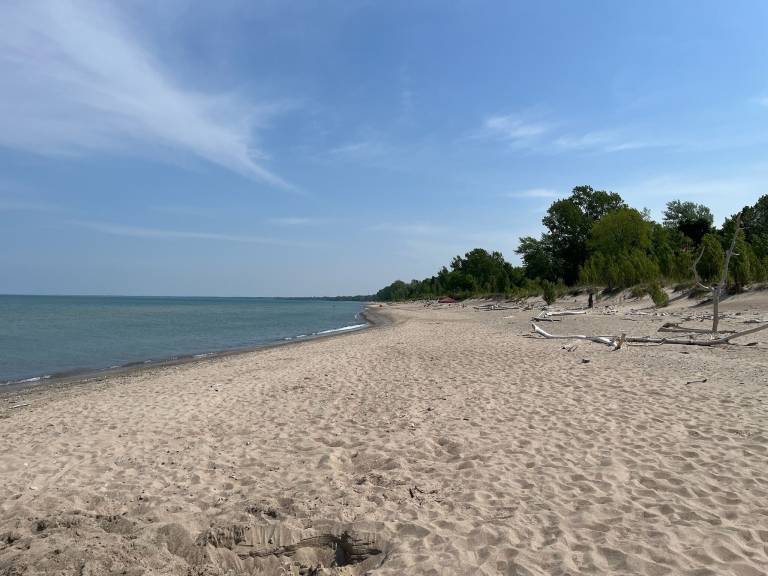 Cabin Grand Bend