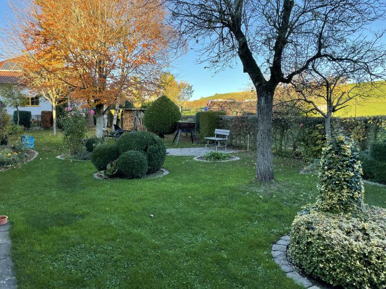 foto16