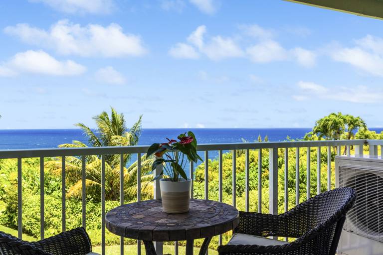 Condo  Princeville