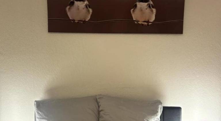 Lovely holiday apartment | Pet-friendly — photo 2