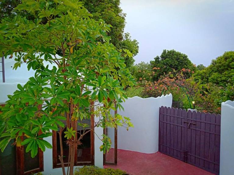 foto17