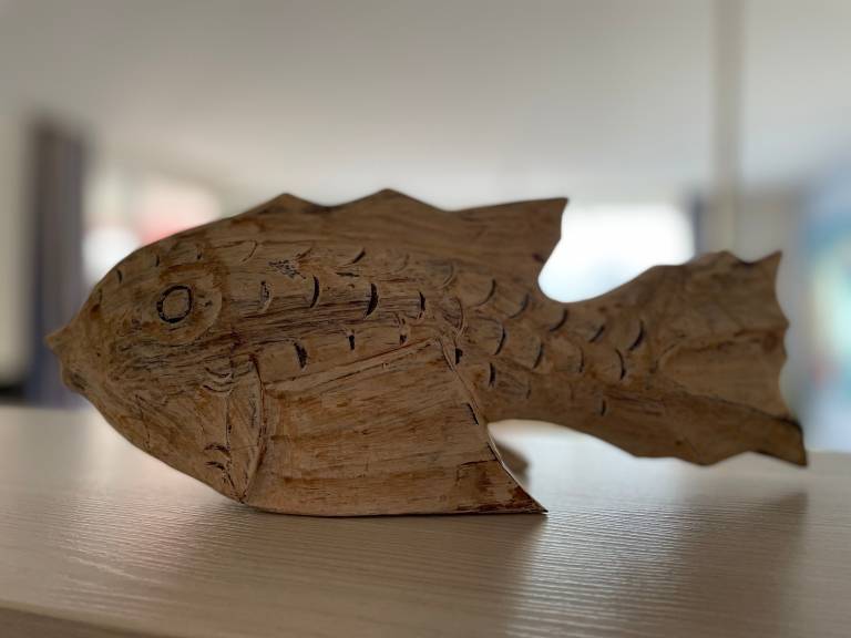 foto7