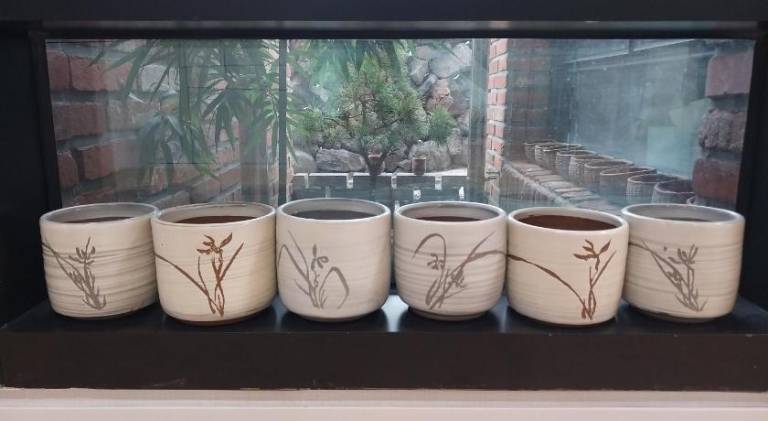foto47