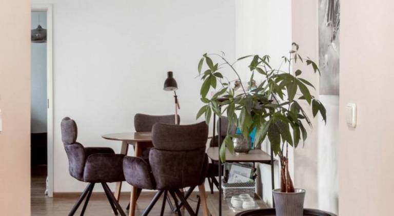 Pleasant rental apartment | Pet-friendly — photo 3