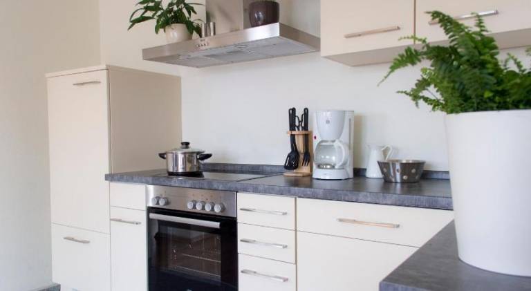 Serviced apartment with terrace & yard | Next to Zwinger | Perfect for remote work — photo 4