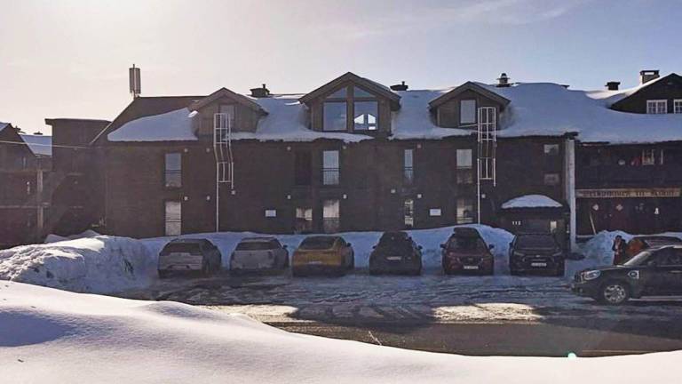 Ferienwohnung Geilo