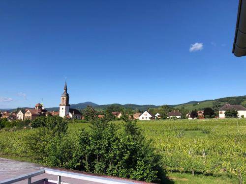 foto10