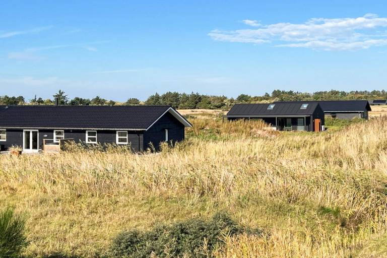 Ferienhaus mit Hund in Hirtshals fuer max. 8 Personen
