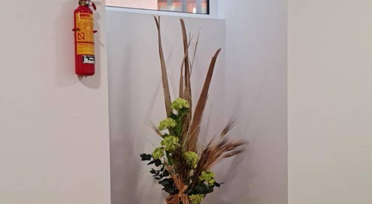 foto15