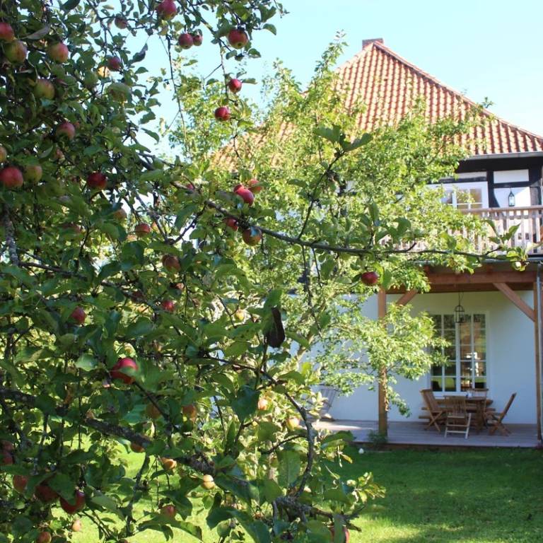 Forsthaus Trottenwald — photo 4