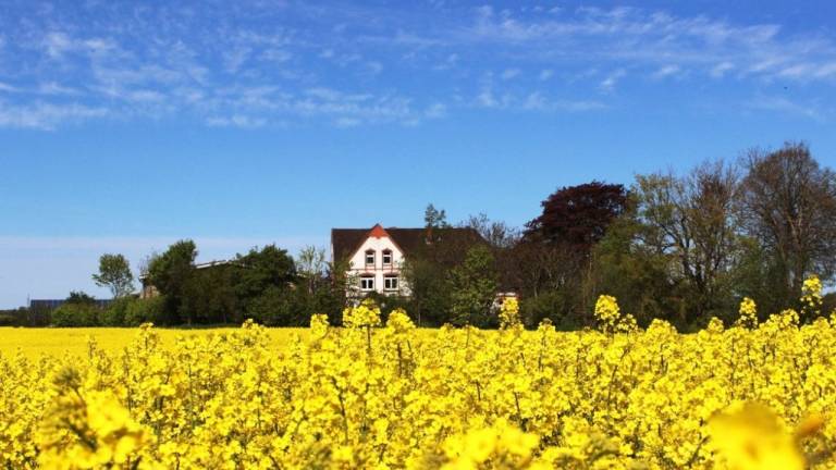 Ferienwohnung  Süderbrarup