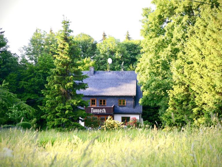 House  Schellerhau