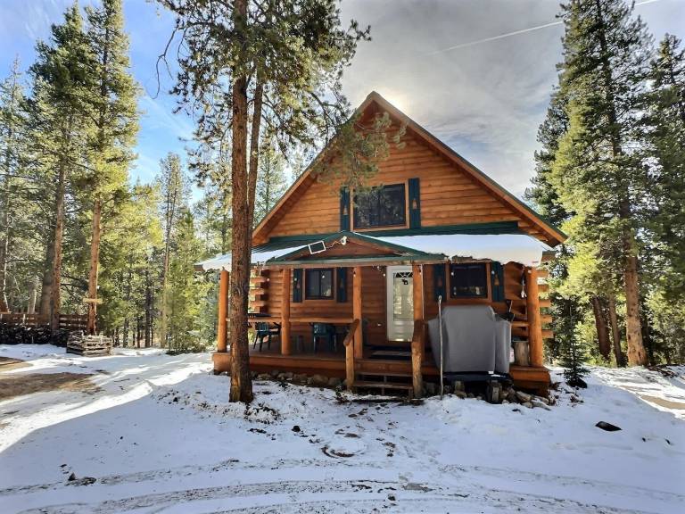 Cabin  Leadville