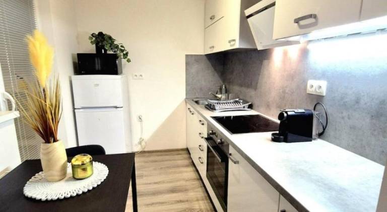 Holiday apartment | Pet-friendly — photo 4