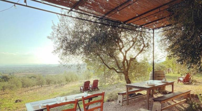 Farm with patio, pool & garden — photo 4