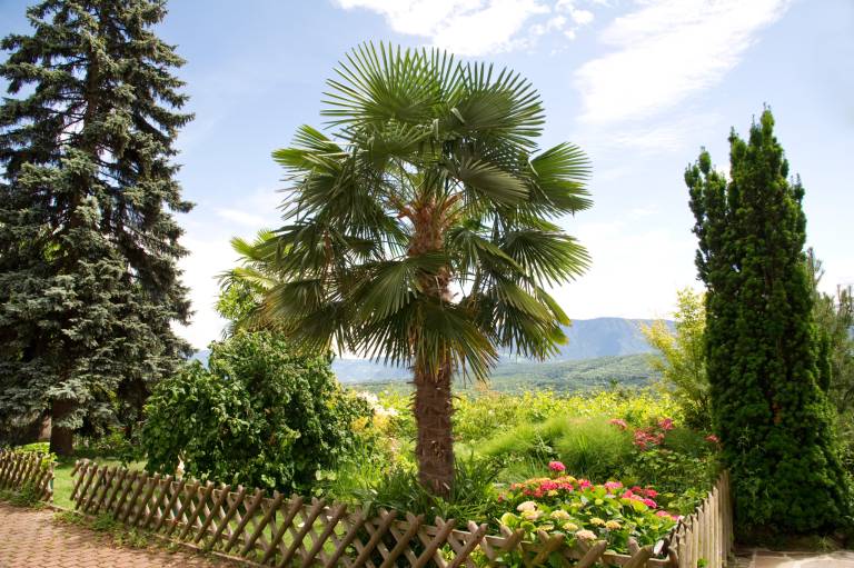 foto11