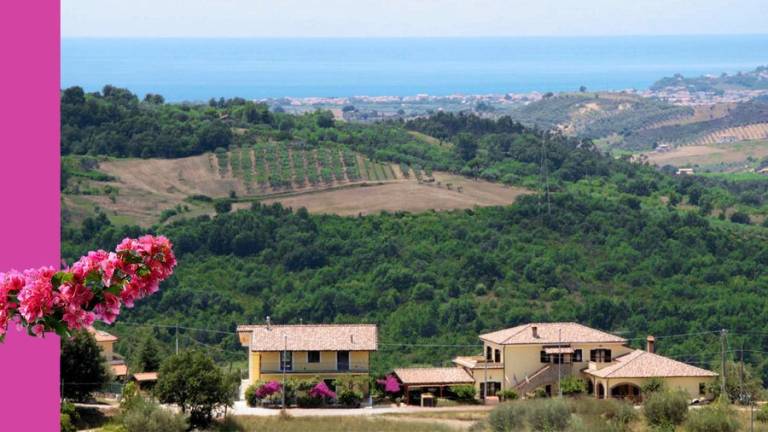 Agriturismo Musto: Blu — photo 2