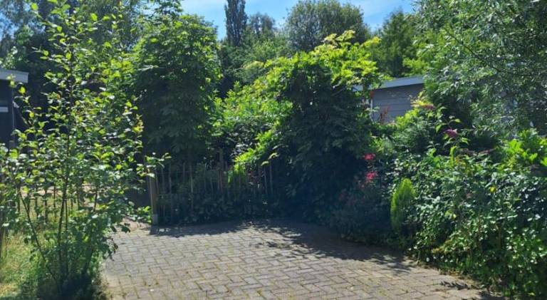 foto22
