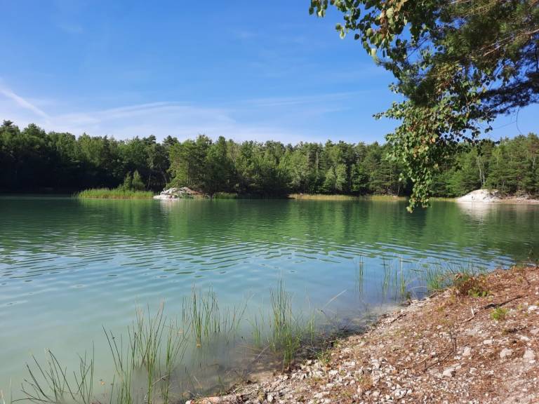 foto12