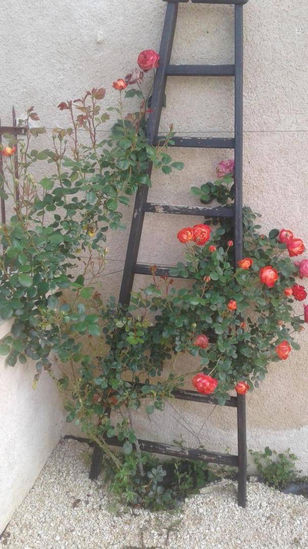 foto34