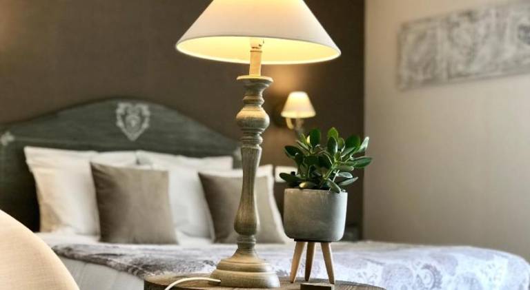 HOSTELLERIE DES BICHONNIERES