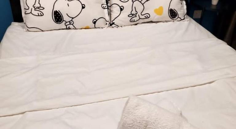 foto42