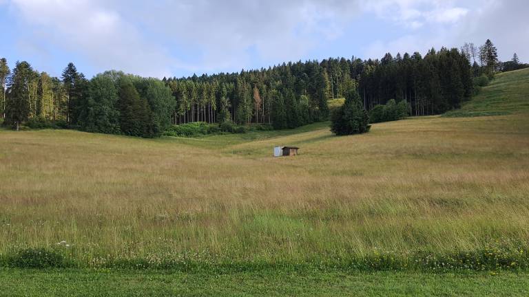 foto41