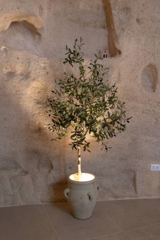 foto25
