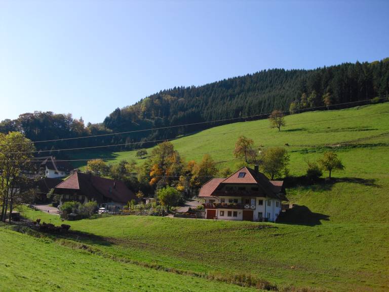 foto11
