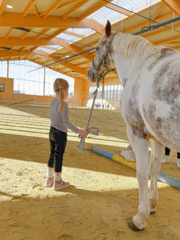 Ponywoche 2026 auf dem Hof Köhne im Sauerland — photo 4