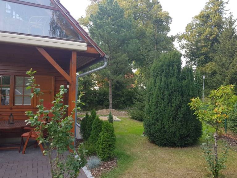 foto17