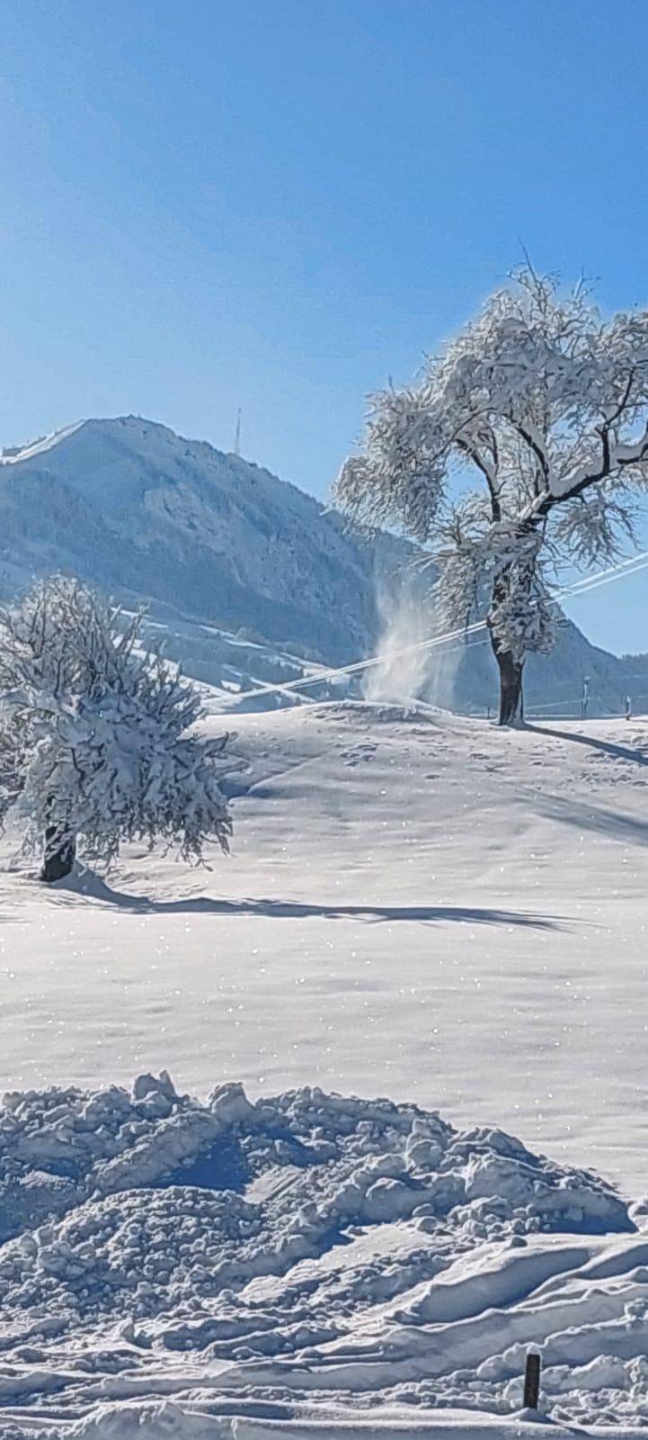 foto11