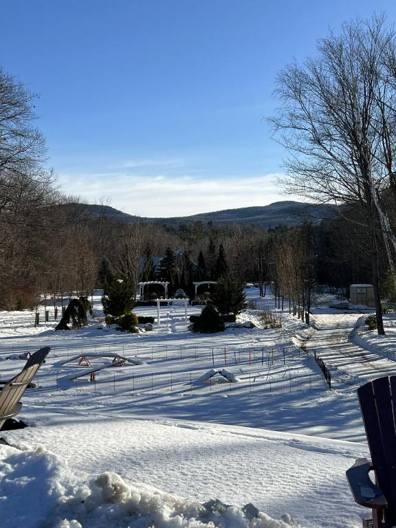 Scenic Vista Inn — photo 3